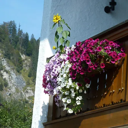 아파트 Haus Im Kurpark *